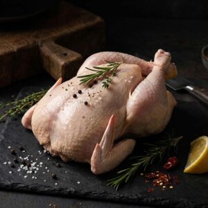 Pollo